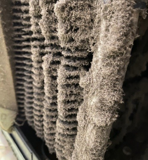 galeria mant3 website 5