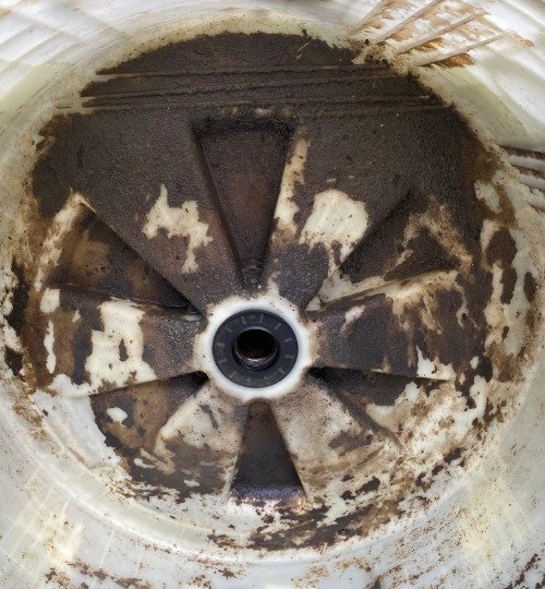 galeria mant7 website 5